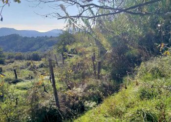 2.jpg - Porzione di casa Via Volpara 9, Sarzana - foto 7