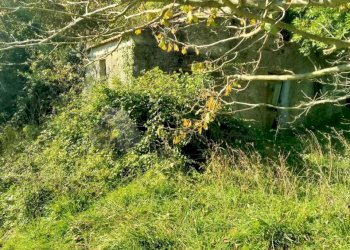 3.jpg - Porzione di casa Via Volpara 9, Sarzana - foto 8