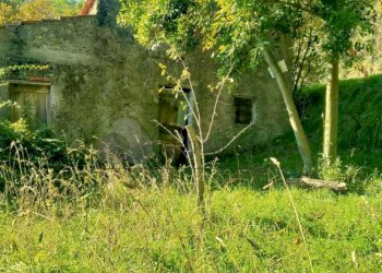 13.jpg - Porzione di casa Via Volpara 9, Sarzana - foto 9