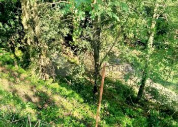 5.jpg - Porzione di casa Via Volpara 9, Sarzana - foto 10