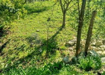 14.jpg - Porzione di casa Via Volpara 9, Sarzana - foto 12