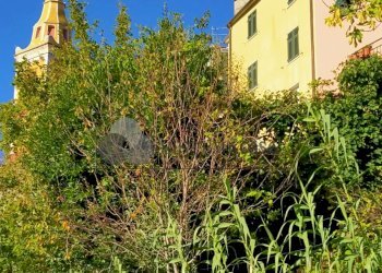 9.jpg - Rustico Via del Castello snc, Fivizzano - foto 5