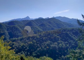 20.jpg - Rustico Via del Castello snc, Fivizzano - foto 15