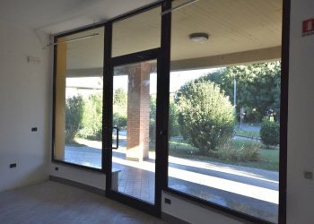 Ingresso.JPG - Commercial Premises via Vinicio Pescerelli 99, San Pietro in Casale - photo 13