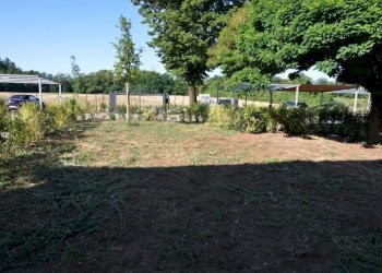 GIARDINO - Portion of a house via Zocca 1, San Lazzaro di Savena - photo 14