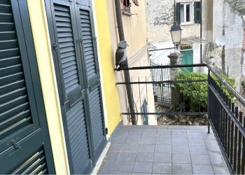 ar3.jpg - Terratetto - Terracielo Arcola - foto 4