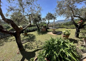 fo14.jpg - Villa Fosdinovo - foto 14