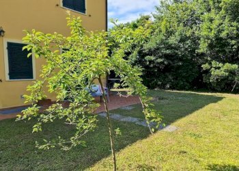 ca10.jpg - Villa Castelnuovo Magra - photo 10