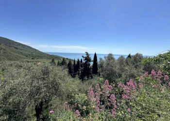 le11.jpg - Attico Lerici - foto 11