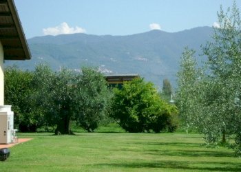 am11.jpg - Villa Ameglia - foto 11