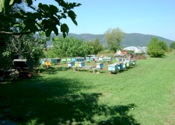 am12.jpg - Villa Ameglia - foto 12