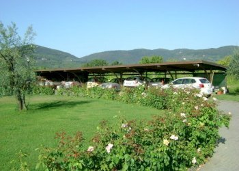 am17.jpg - Villa Ameglia - foto 17