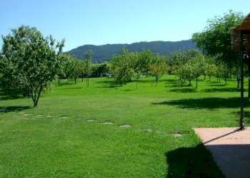 am22.jpg - Villa Ameglia - foto 22