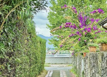 am3.jpg - Appartamento Ameglia - foto 5