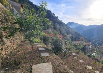 20241108_090702.jpg - Terratetto - Terracielo Via Borgo Sovrano 31, Stazzema - foto 14