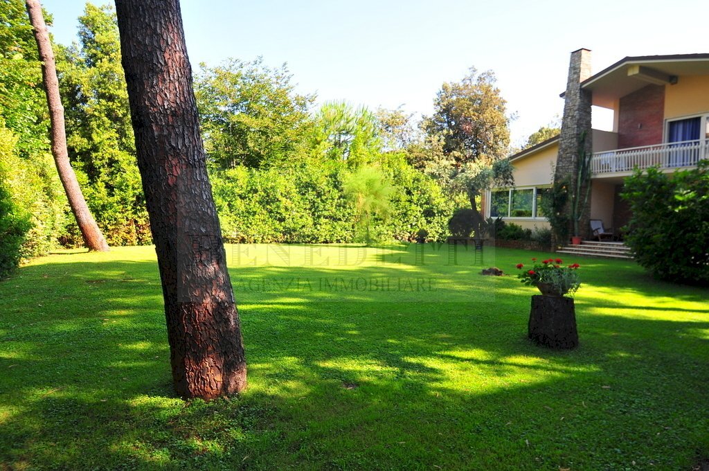 DSC_0200.JPG - Villa Pietrasanta - foto 3