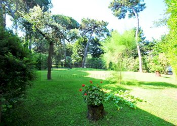 DSC_0207.JPG - Villa Pietrasanta - foto 10