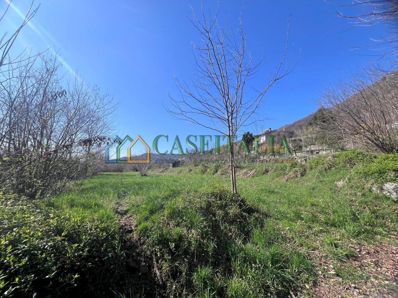 04f5d69b-ff04-4fa9-ae5f-70d42602c5c3.jpg - Building land Lessolo - photo 1