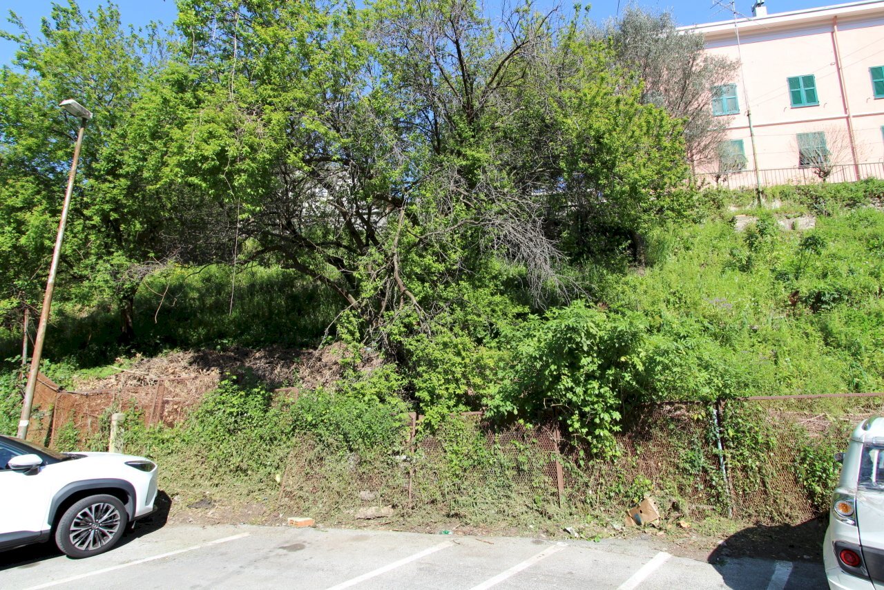 Terreno - Terreno agricolo Via Liceti, Recco - foto 1