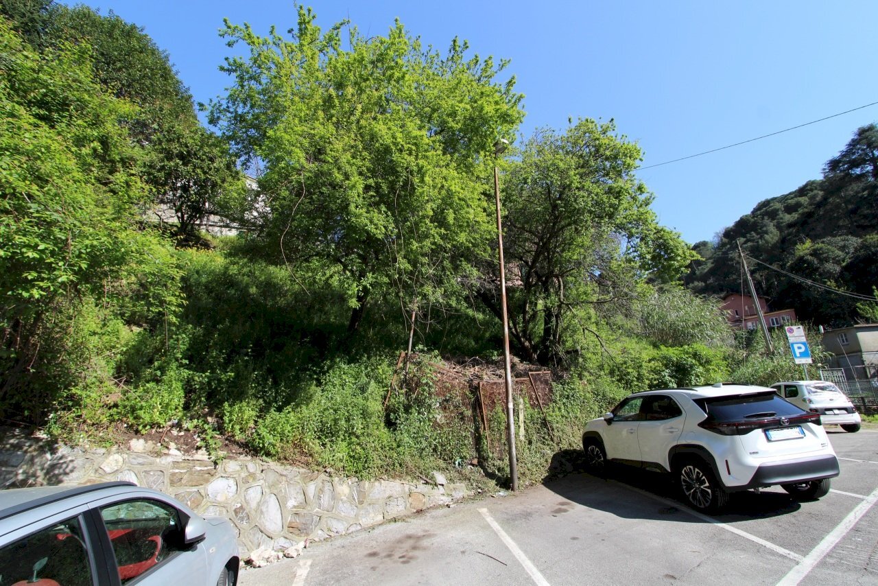 Terreno - Terreno agricolo Via Liceti, Recco - foto 2