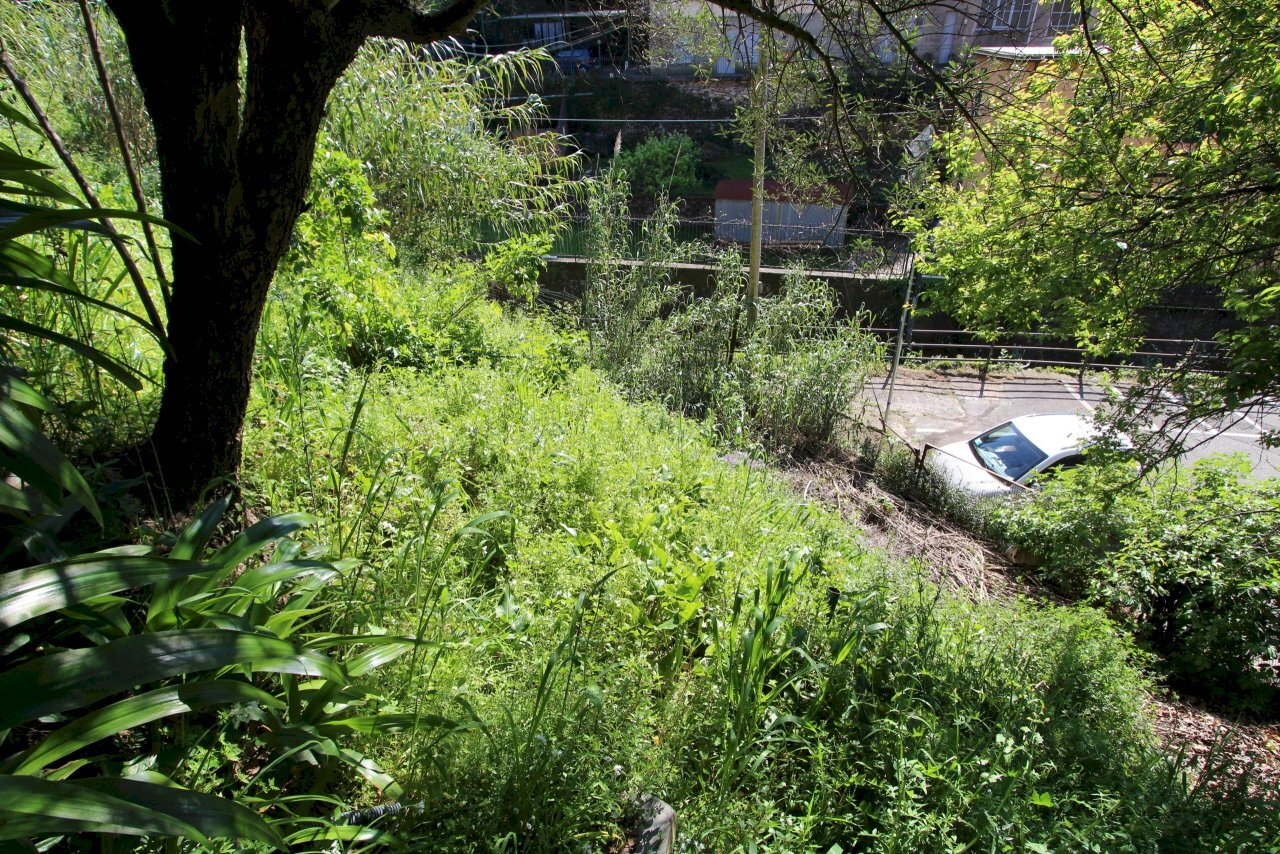 Terreno - Terreno agricolo Via Liceti, Recco - foto 3