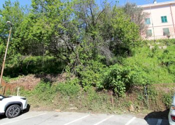 Terreno - Terreno agricolo Via Liceti, Recco - foto 1