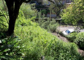 Terreno - Terreno agricolo Via Liceti, Recco - foto 3