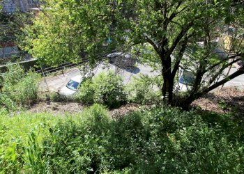 Terreno - Terreno agricolo Via Liceti, Recco - foto 4