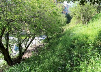 Terreno - Terreno agricolo Via Liceti, Recco - foto 5