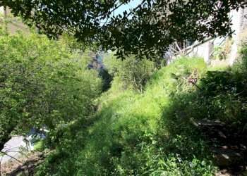 Terreno - Terreno agricolo Via Liceti, Recco - foto 6