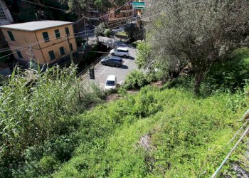 Terreno - Terreno agricolo Via Liceti, Recco - foto 7