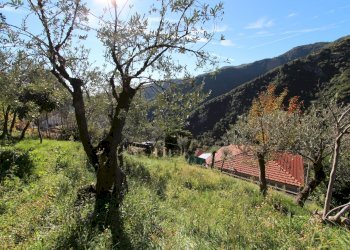 Terreno - Villa Avegno - foto 27