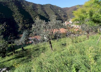 Terreno - Villa Avegno - foto 28