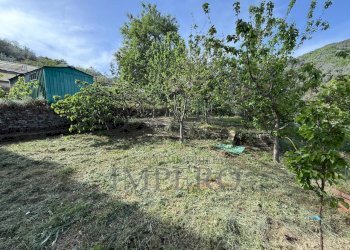 terreno - Casa indipendente localitò pian del soglio, Apricale - foto 30