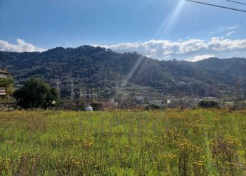 b0b8c4f4-661f-46b2-8d40-178aa7b98c53.jpg - Terreno agricolo via udine  1, Camporosso - foto 1