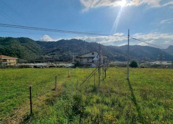 terreno - Terreno agricolo via udine  1, Camporosso - foto 3