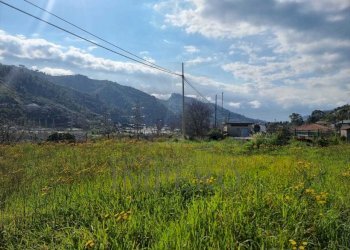 ecf58c76-a32b-4fb5-becb-aae7c398e597.jpg - Terreno agricolo via udine  1, Camporosso - foto 4