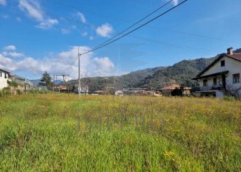 7430abff-80c2-4be3-93c8-7f781dfecbff.jpg - Terreno agricolo via udine  1, Camporosso - foto 5