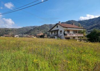 ef577cbd-9447-44c5-8325-86d7c03b31b6.jpg - Terreno agricolo via udine  1, Camporosso - foto 7