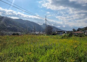 f2369080-3906-4359-b726-0bc137e7e635.jpg - Terreno agricolo via udine  1, Camporosso - foto 9