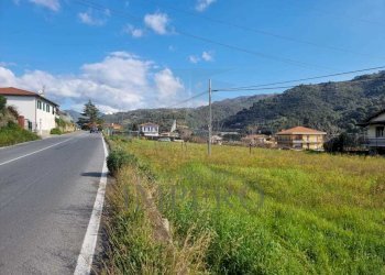 terreno - Terreno agricolo via udine  1, Camporosso - foto 12