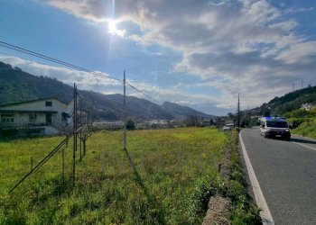 2355bcf3-65b5-4ec5-8506-b98565f1afe2.jpg - Terreno agricolo via udine  1, Camporosso - foto 13