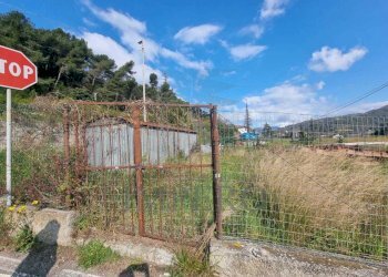 entrata - Terreno agricolo via udine  1, Camporosso - foto 15