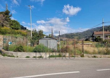 terreno - Terreno agricolo via udine  1, Camporosso - foto 16