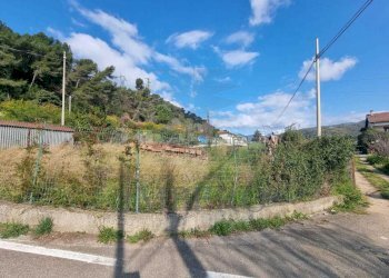 terreno - Terreno agricolo via udine  1, Camporosso - foto 17