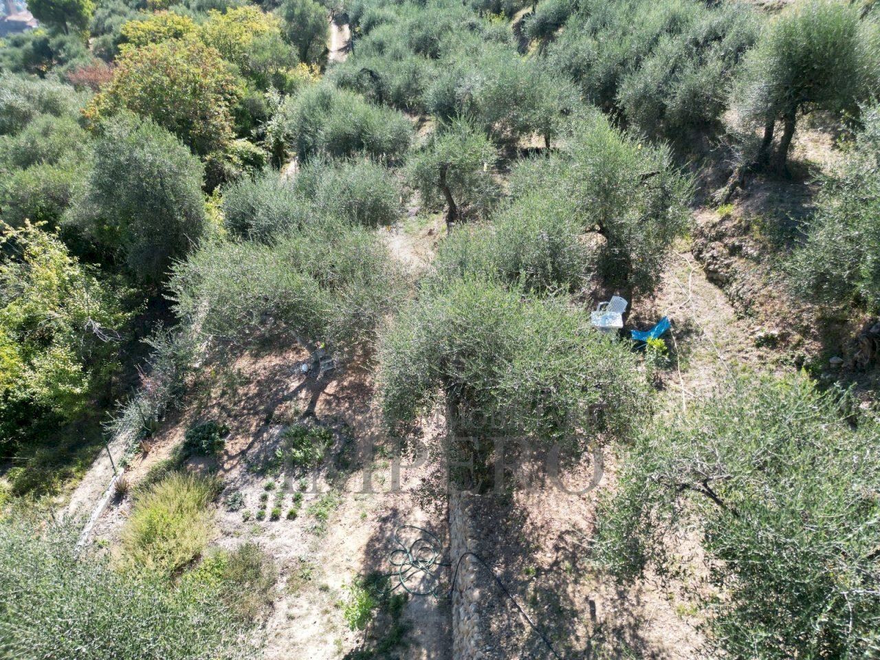 2.jpeg - Terreno agricolo Via Monsignore Daffra 40, Ventimiglia - foto 1
