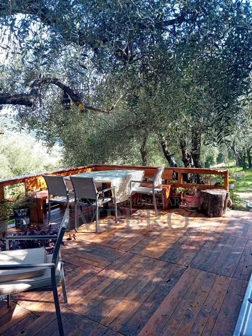 39 - Terreno agricolo Via Monsignore Daffra 40, Ventimiglia - foto 2