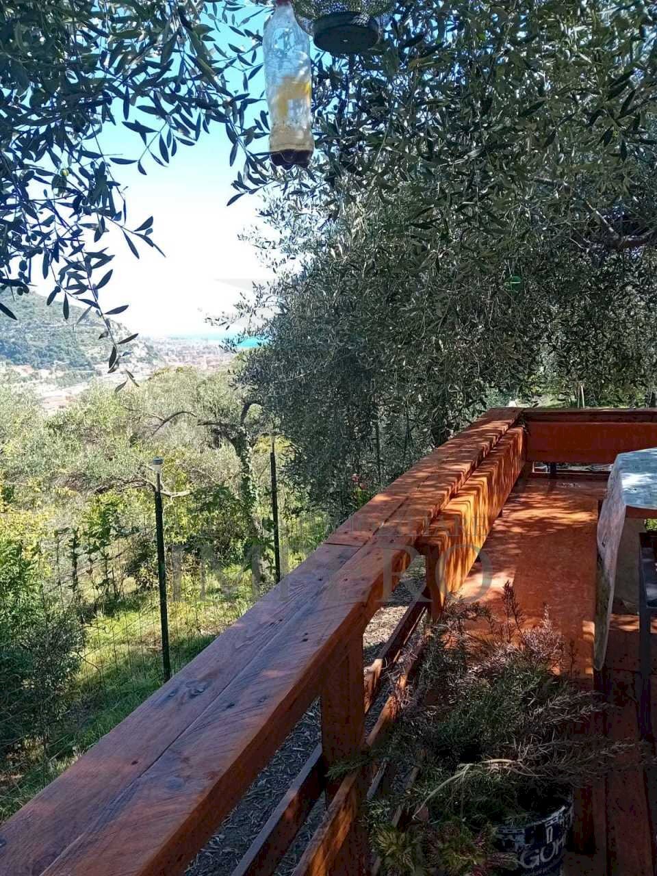 33 - Terreno agricolo Via Monsignore Daffra 40, Ventimiglia - foto 3