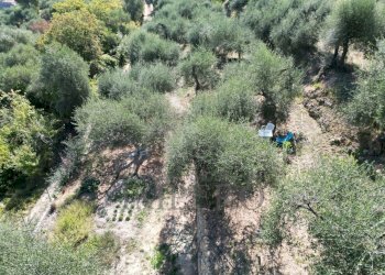 2.jpeg - Terreno agricolo Via Monsignore Daffra 40, Ventimiglia - foto 1