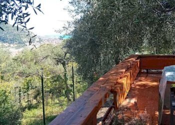 33 - Terreno agricolo Via Monsignore Daffra 40, Ventimiglia - foto 3